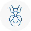 Ant Removals In Buntingford