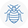 Bed Bug Extermination In Buntingford