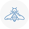 Bee Nest Removal Buntingford