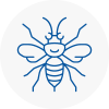 Buntingford Hornet Nest Removals