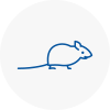 Mice Exterminators In Buntingford