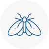 Moth Control Specialists In Buntingford