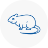 Rat Control Buntingford