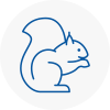Buntingford Rodent Removals